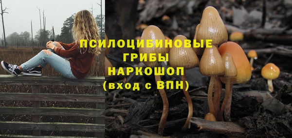 тгк Надым
